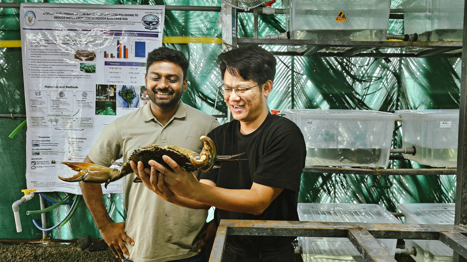 Standardising recirculating aquaculture box units with live Scylla serrata specimens